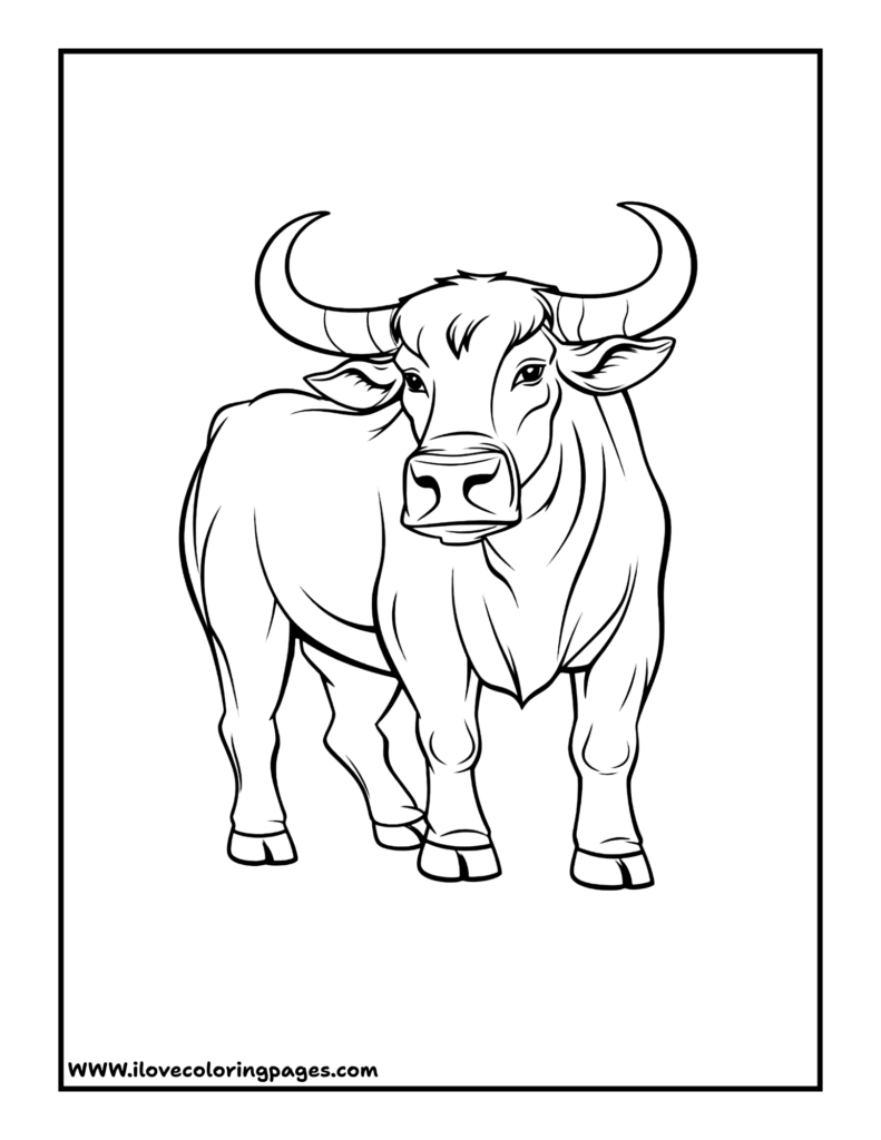 Bull Printable Sheet to Color