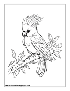 Bird Coloring Page