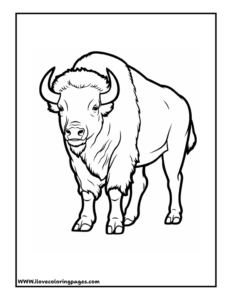 Bison Free Printable Coloring Page