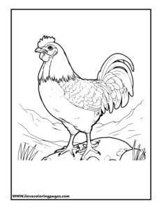 Chicken Coloring Page