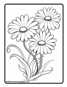 Daisy Coloring Page