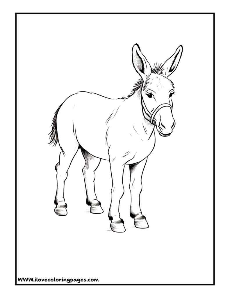 Donkey Free Coloring Page free printable coloring page