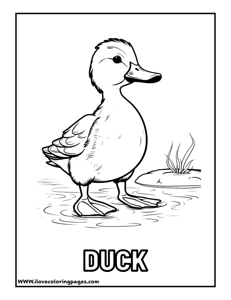 Duck Coloring Page free printable coloring page