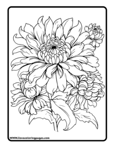 Flower Coloring Pages for Adults