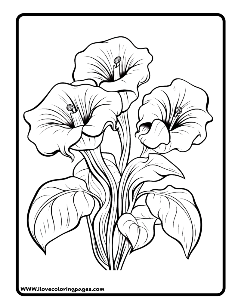 Free Flower Coloring Page