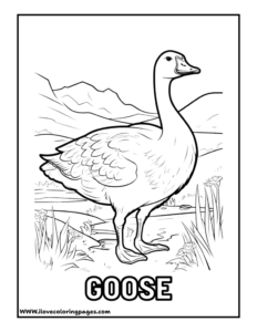 Goose Coloring Page