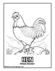 Hen Coloring Page