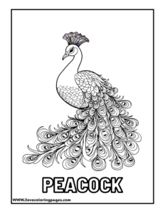Peacock Coloring Page