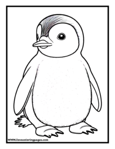 Penguin Coloring Sheet