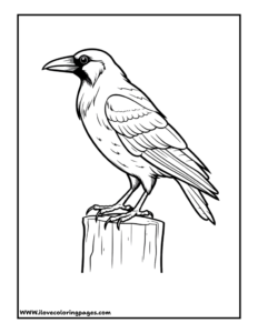 Raven Printable Coloring Page