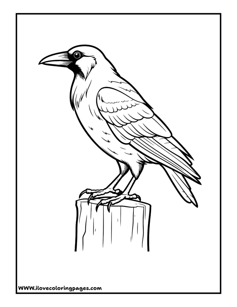 Raven Printable Coloring Page free printable coloring page
