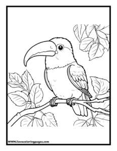 Toucan Bird Coloring Page