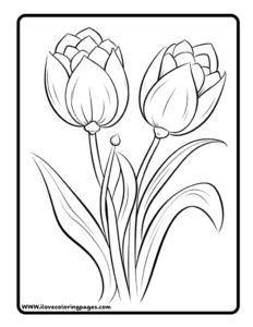 Tulips Coloring Page