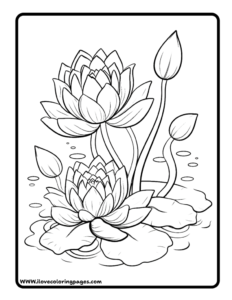 Water Lily Coloring Sheet